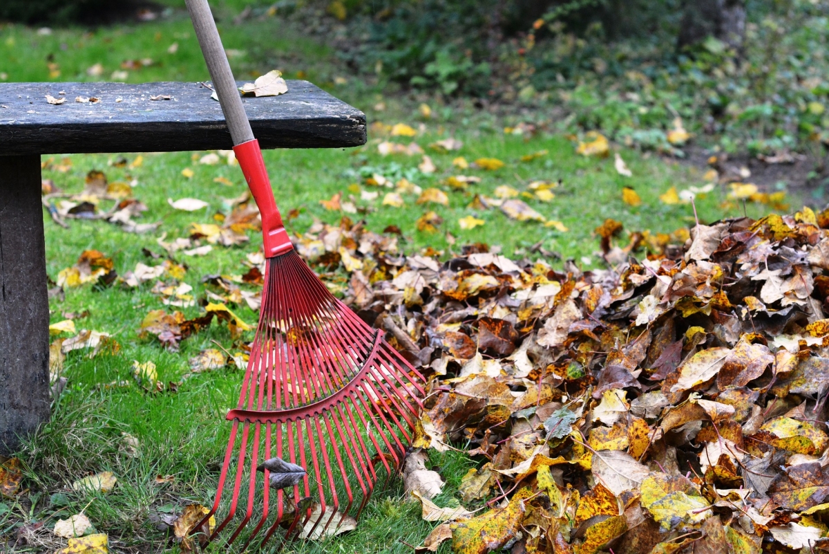 Gartenüberschrift